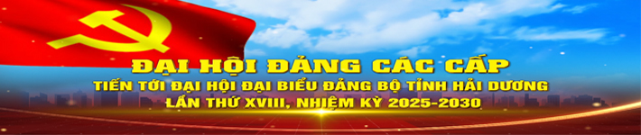 đại hội đảng bộ tỉnh